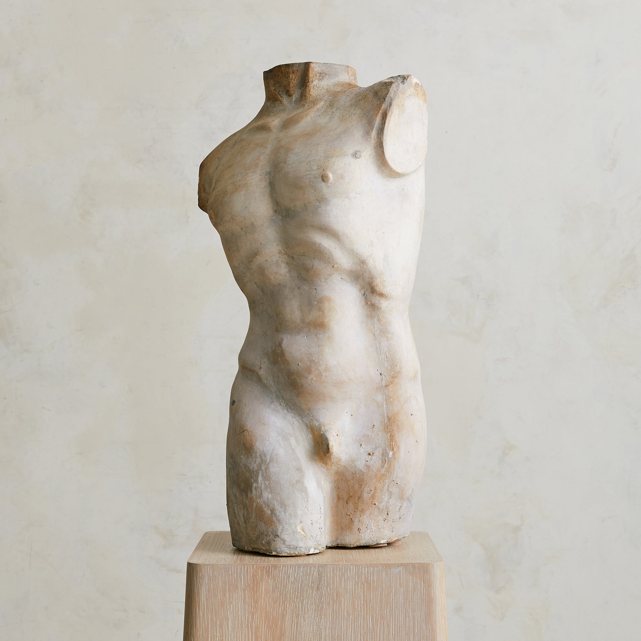 SCULPTOR トップス ベージュ M French Plaster Torso Sculpture | South Loop Loft