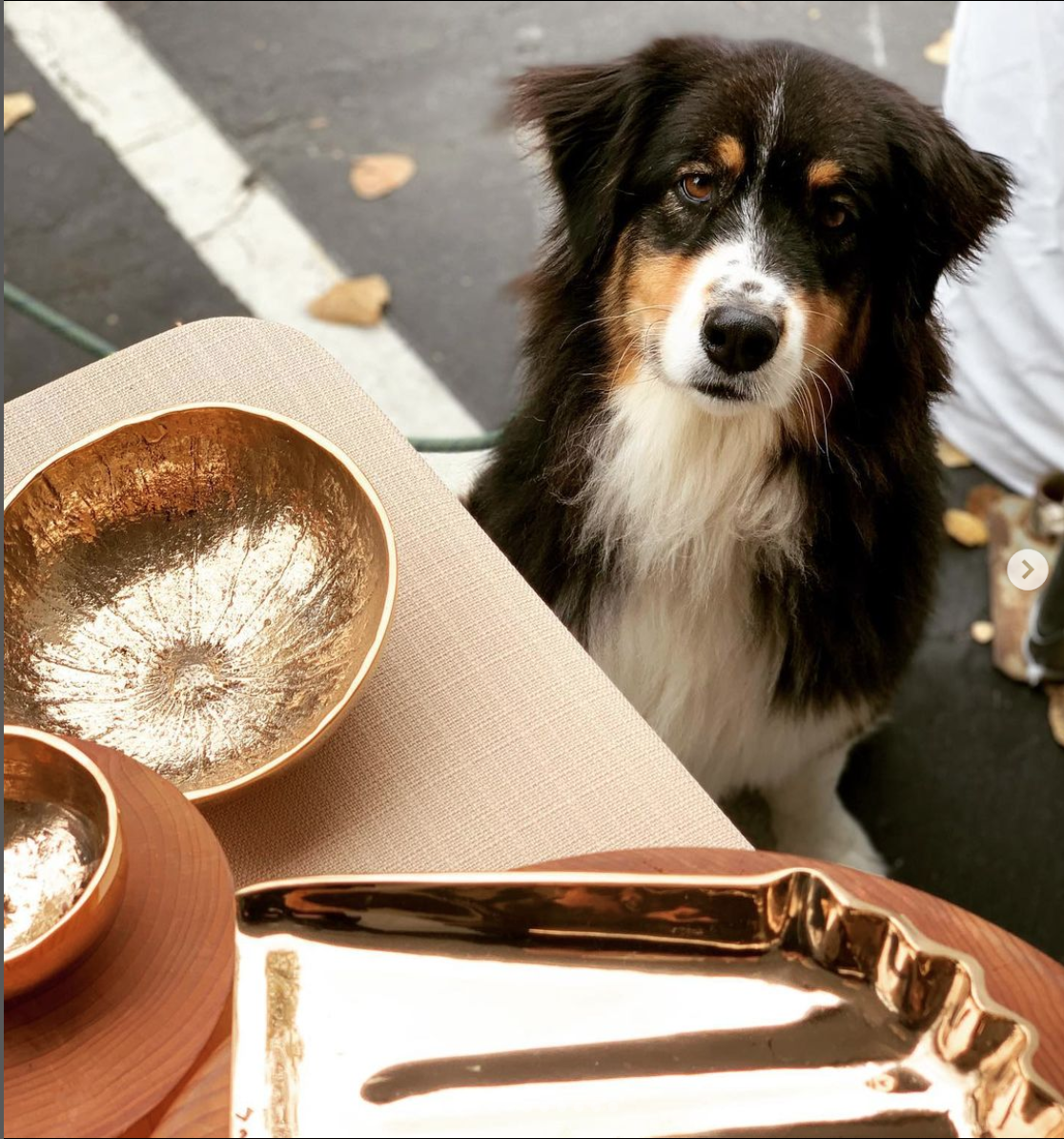 Bronze 'D Cup' Gourd Bowl by Nancy Pearce